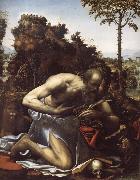 SODOMA, Il Saint Jerome in Penitence oil painting picture wholesale